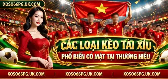CÁC LOẠI KÈO TÀI XỈU PHỔ BIẾN CÓ MẶT TẠI THƯƠNG HIỆU