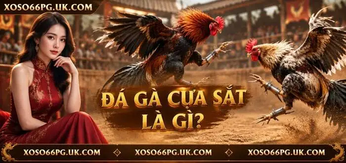 ĐÁ GÀ CỰA SẮT LÀ GÌ?