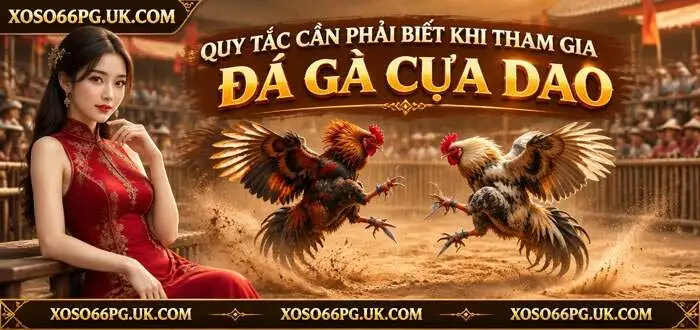 QUY TẮC CẦN PHẢI BIẾT KHI THAM GIA ĐÁ GÀ CỰA DAO